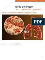 TBL - 4 - Tuberculose - Turma 3