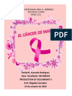 Cancer de Mama Heidy