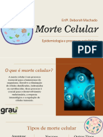 Morte Celular - Aula 2