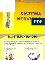 Sistemanervioso