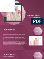 Fisiología Del Periodonto