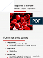 Sangre y Sus Componentes