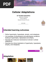 Cellular Adaptation