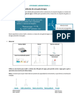 ATIVIDADE LABORATORIAL - Resumo