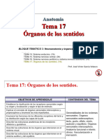 Tema 17 Organos Sentidos