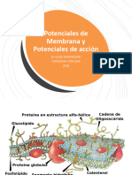 3 - Potenciales de Membrana y Potenciales de Acción