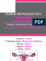 Human Reproduction Female