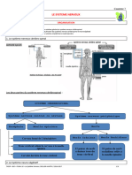 14.1 - Organisation Du Système Nerveux - Trace Ecrite Prof