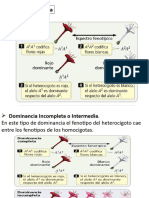 Clase Genetica No Mendeliana