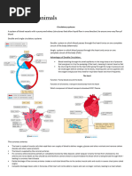 Circulatory System Notes