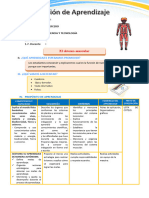 D3 A1 SESION CT. El Sistema Muscular