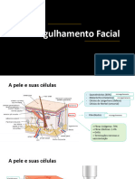 Micriagulhamento Facial