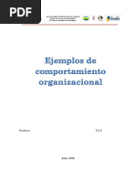 Ejemplos de Comportamiento Organizacional 3 PDF Free