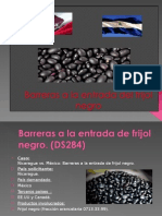 Barreras A La Entrada de Frijol Negro