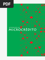 Introducao Ao Microcredito