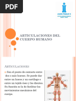 Articulaciones Del Cuerpo Humano