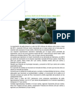 Investigacion de Palta