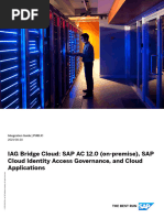 SAP IAG Implementation Guide