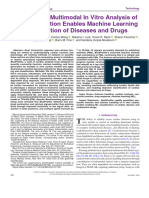 BeatProfiler Multimodal in Vitro Analysis of Cardiac Function Enables Machine Learning Classification of Diseases and Drugs