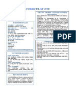 CV Descriptivo - Documentado