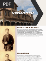 Vedat Tek