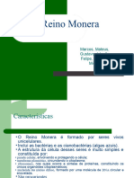 Reino Monera - 20240318 - 073032 - 0000