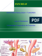 Pancreas