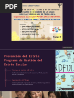 5 Propuesta de Estrategias de Prevención en Psicologíaeducativa