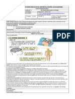 Guia #5 Sistema Nervioso Central