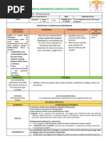 Sesion Partes Del Cuerpo