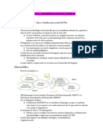 Manifestaciones Clínicas