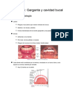 Capítulo 14 - Garganta y Cavidad Bucal