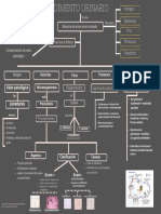 Mapa Conceptual Sandro