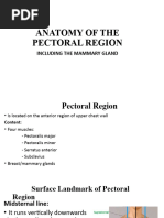 Anatomy of The Pectoral Region