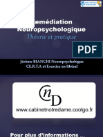 Remédiation Cog - Théorie Et Pratique