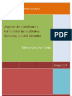 Aspecte de Planificare A Teritoriului in Tea Slobozia