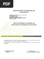 Ejemplo Matriz de Intervencion Psicosocial 2023 Simplex DCH