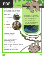 All About Sloths Differentiated Reading Comprehension Activity