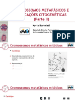 Aula 4 - Cromossomos Metafasicos - 2023 - 1 - ParteII