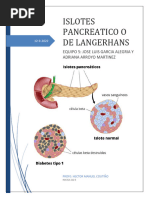 Anatomia