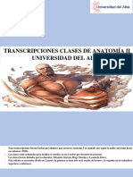 Transcripciones Clases Anatomia 2 Parte 1