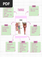 Organizador Gráfico Mapa Conceptual Creativo Rosa