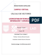 Foro de Vectoes U1