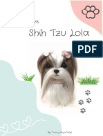 Pattern Shihtzu Puppy