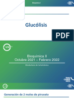 S2 S3 S4 S5 Metabolismo de Carbohidratos Lípidos