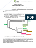 Guia de TP #2 - Hoja - BP 2024