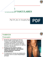 Varices Ulceras Vasculares