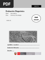 1ro - SECUNDARIA CT DIAGNÓSTICA 2024