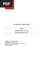 Lab Suelos y H°, Seccion 200, Informe 1. Camilo Araneda