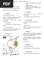 Amebíase, Giardíase e Tricomoníase